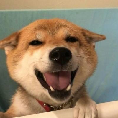 美言佳小店
