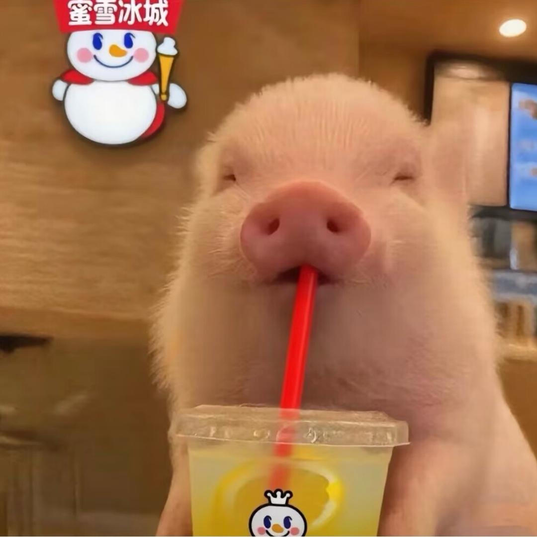 丞丞