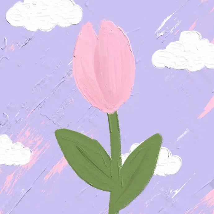 新大陆