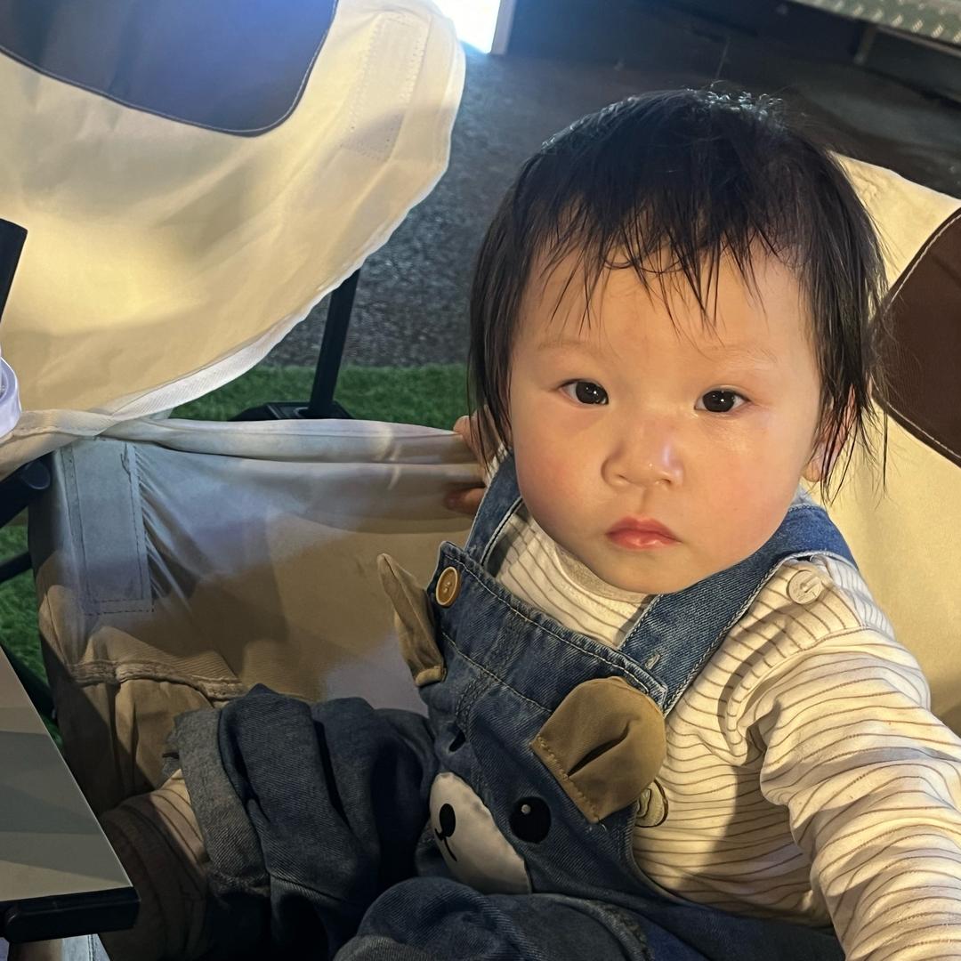 在人间凑数的日子