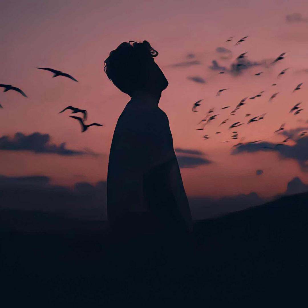 飞腾纪选优品店