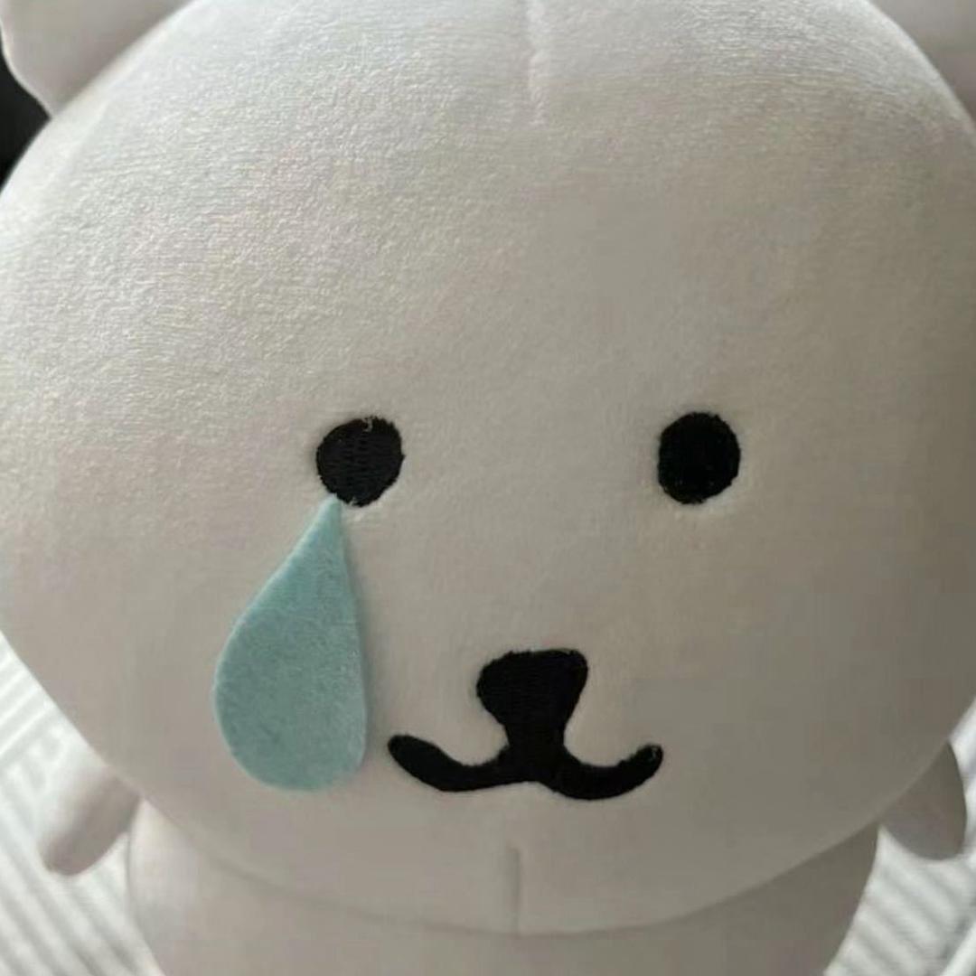 豆木