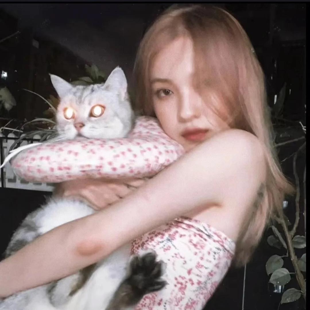 Kitty 雪-