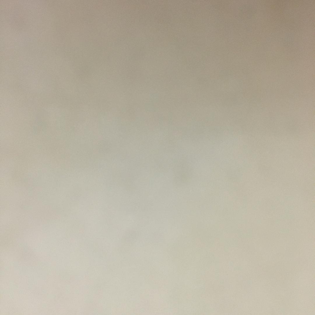 雏菊百货店