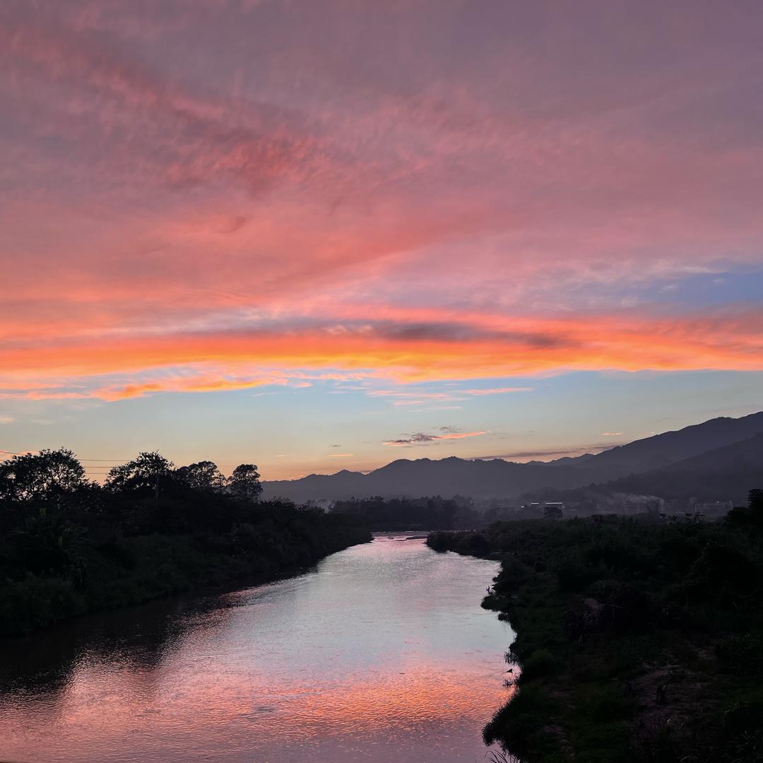 #58 　　　　　　　　🪳