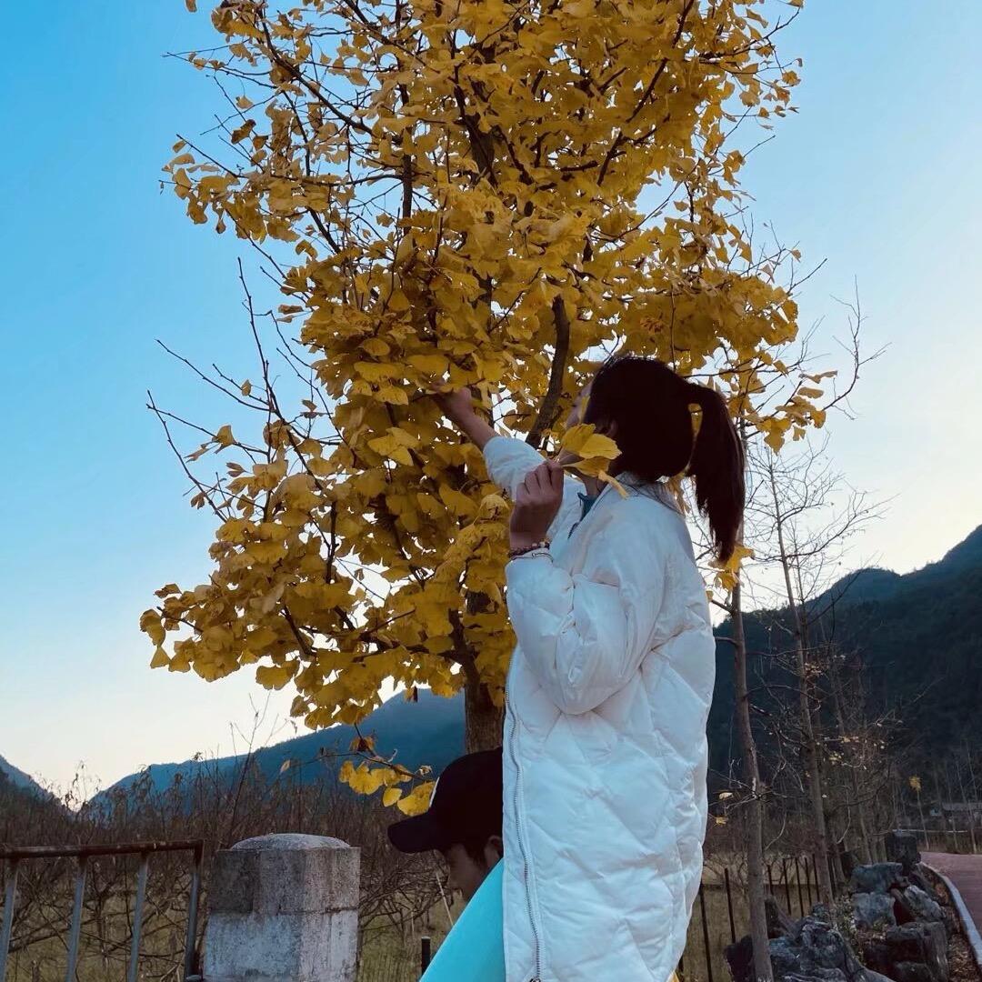 藓而易见~小邱