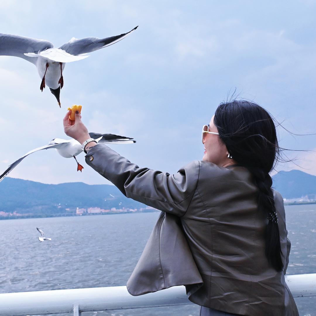 荥阳美业•镁月