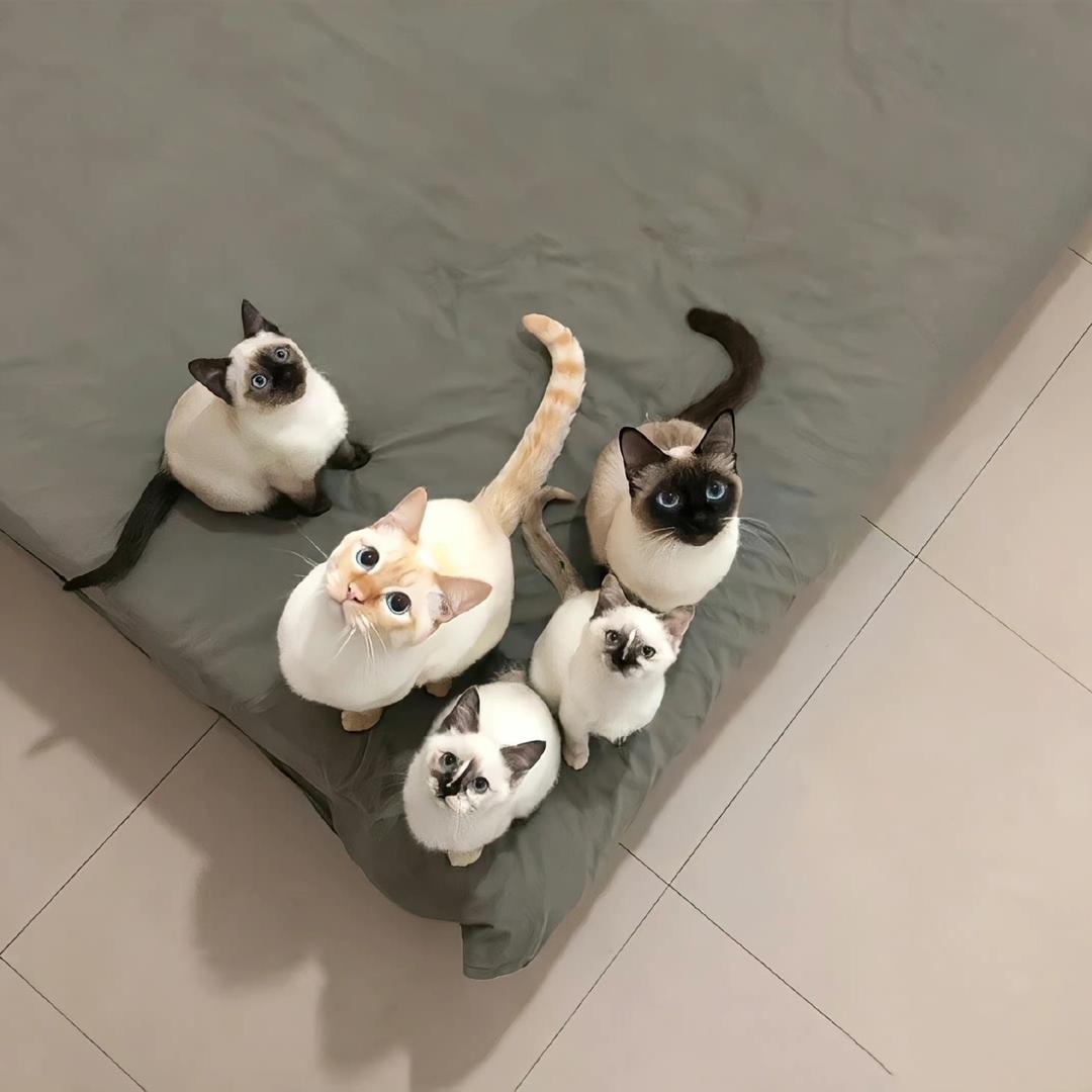 期。