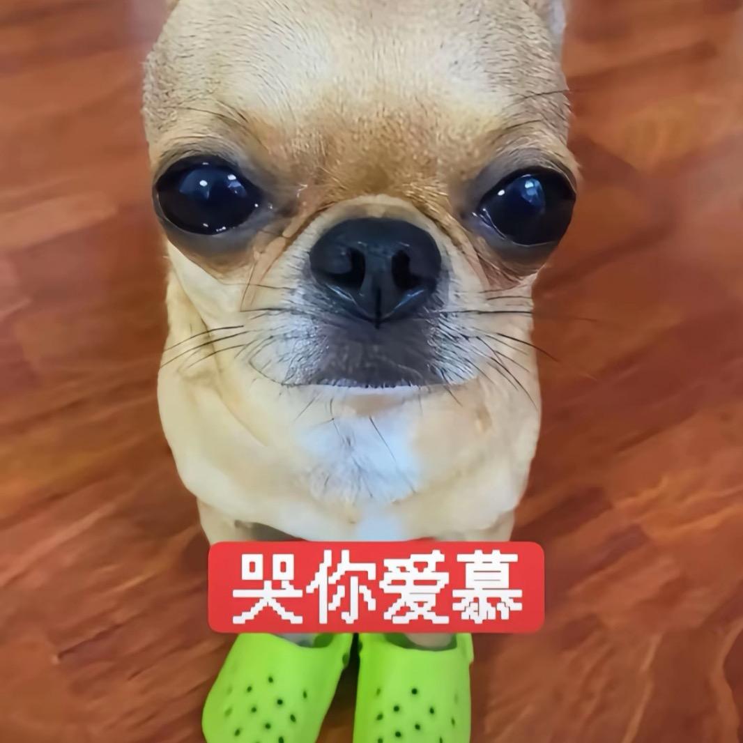 hi