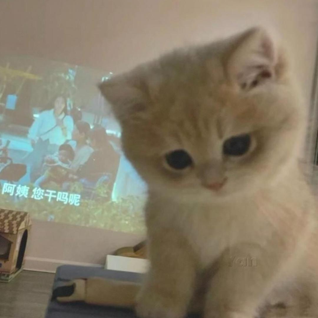 @番茄不吃西红柿