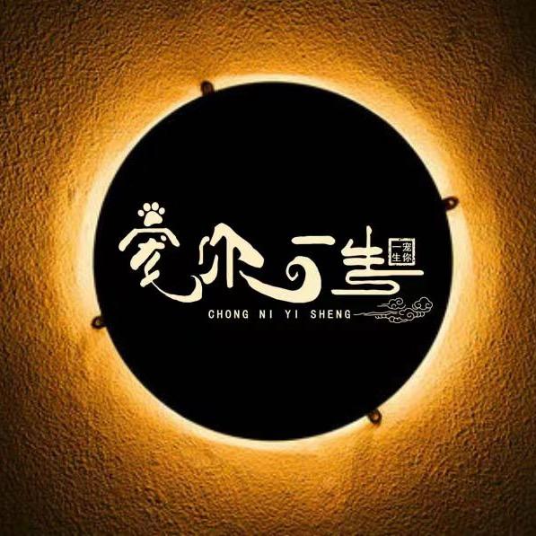 宠你一生