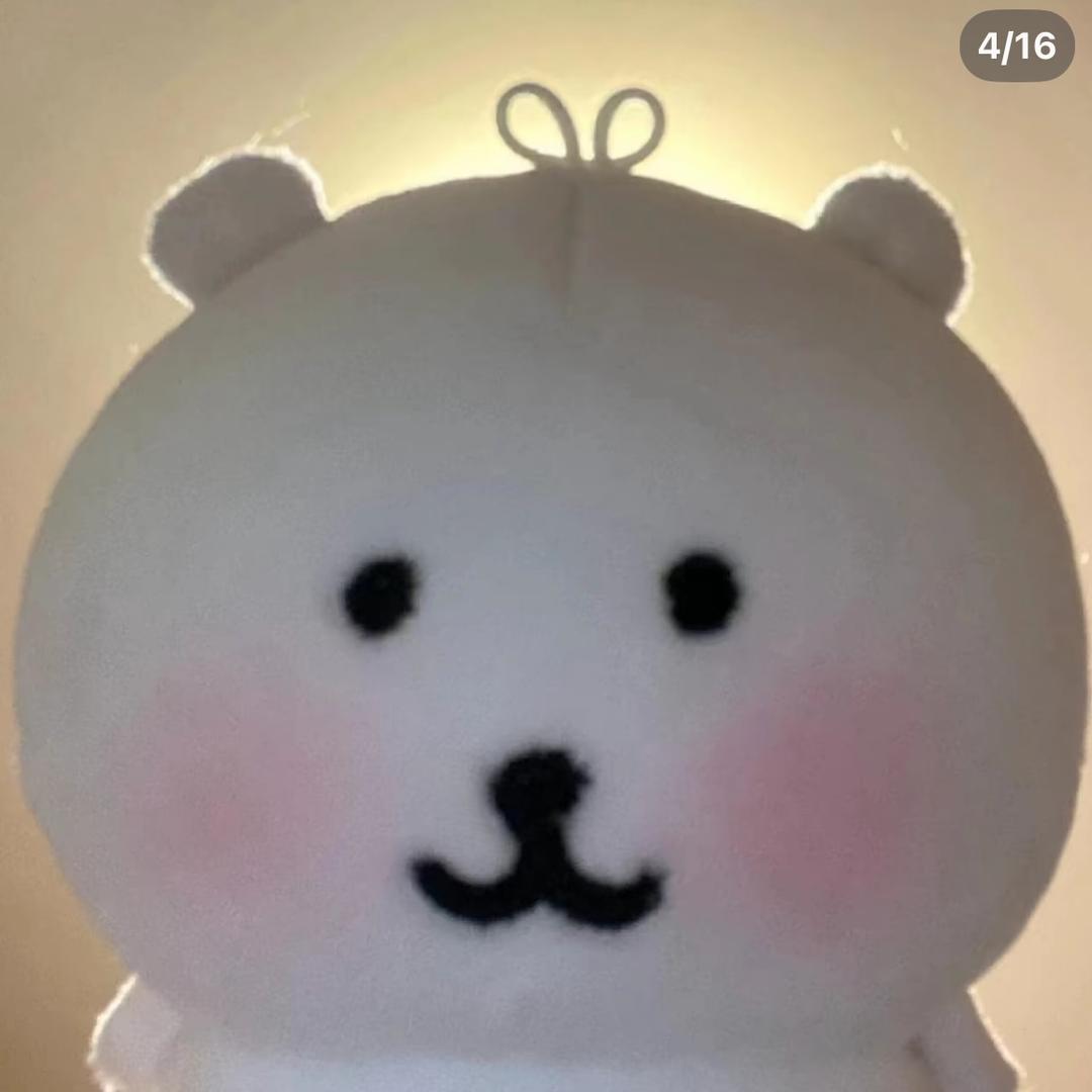 鱿鱼丝