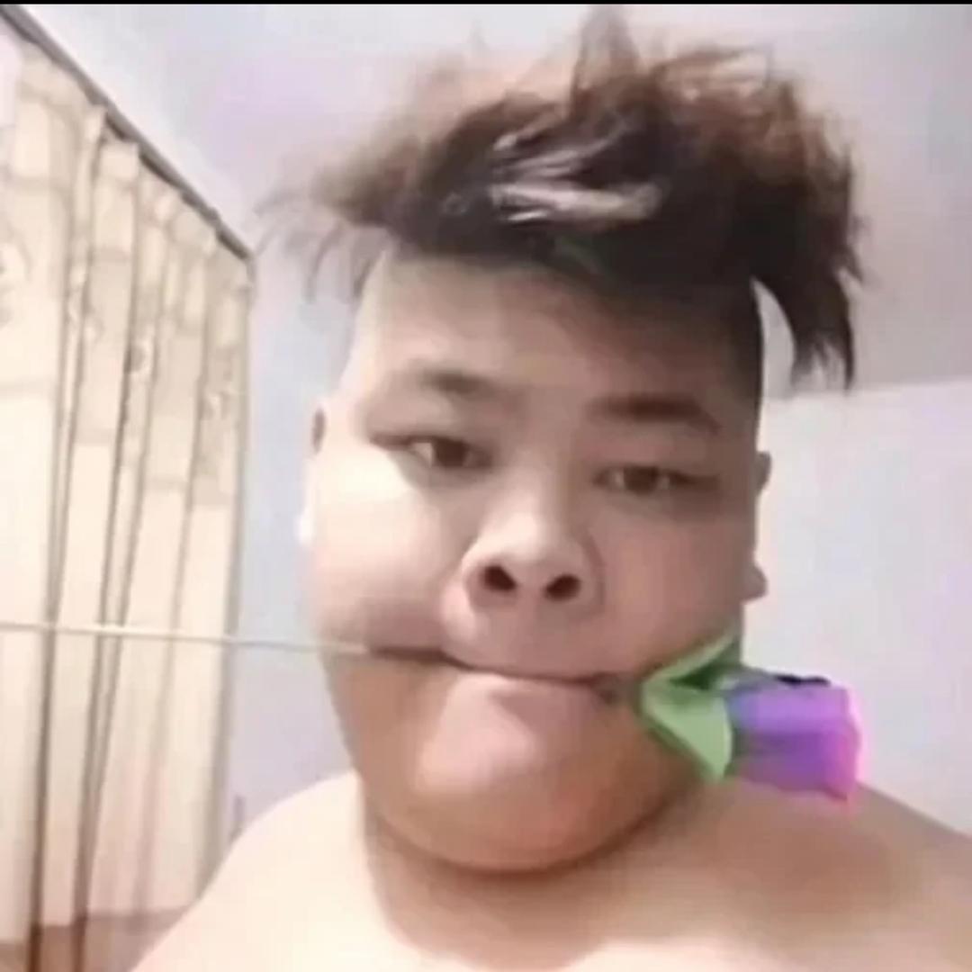 小茉莉mi