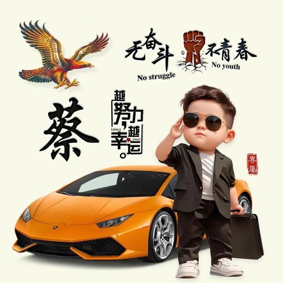蔡平PING