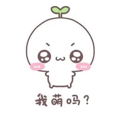 杨小敏