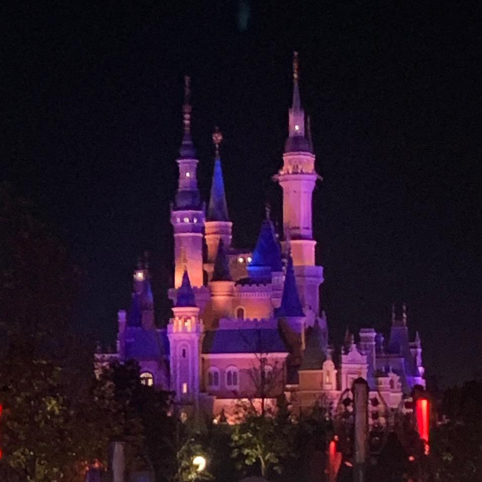 喜宝✨