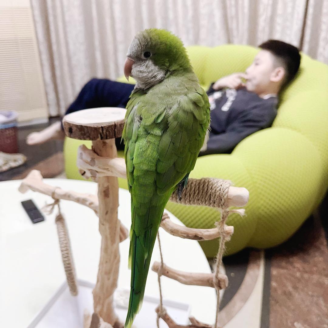 可爱风1