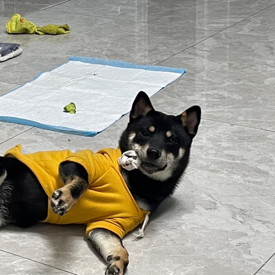 十年磨一剑🗡️