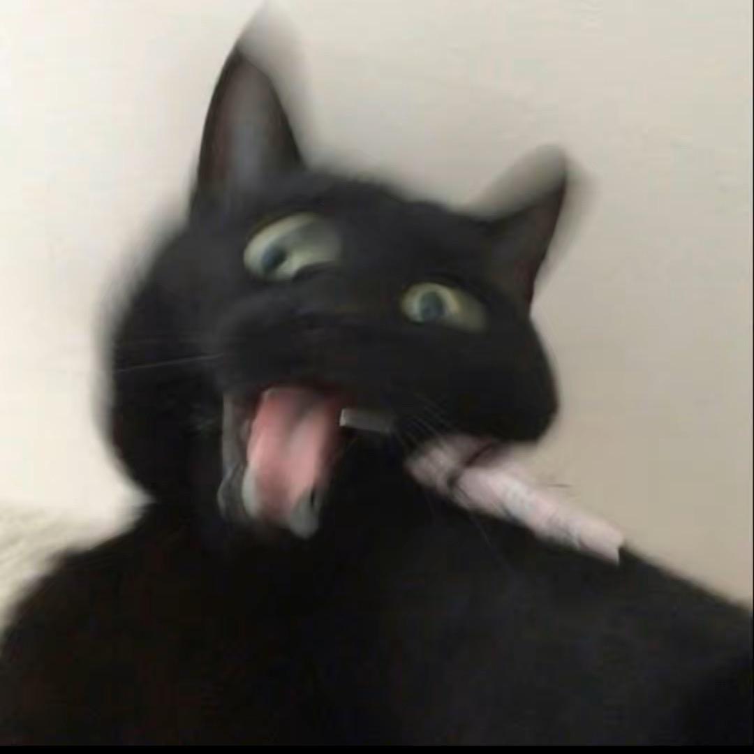 肥羊