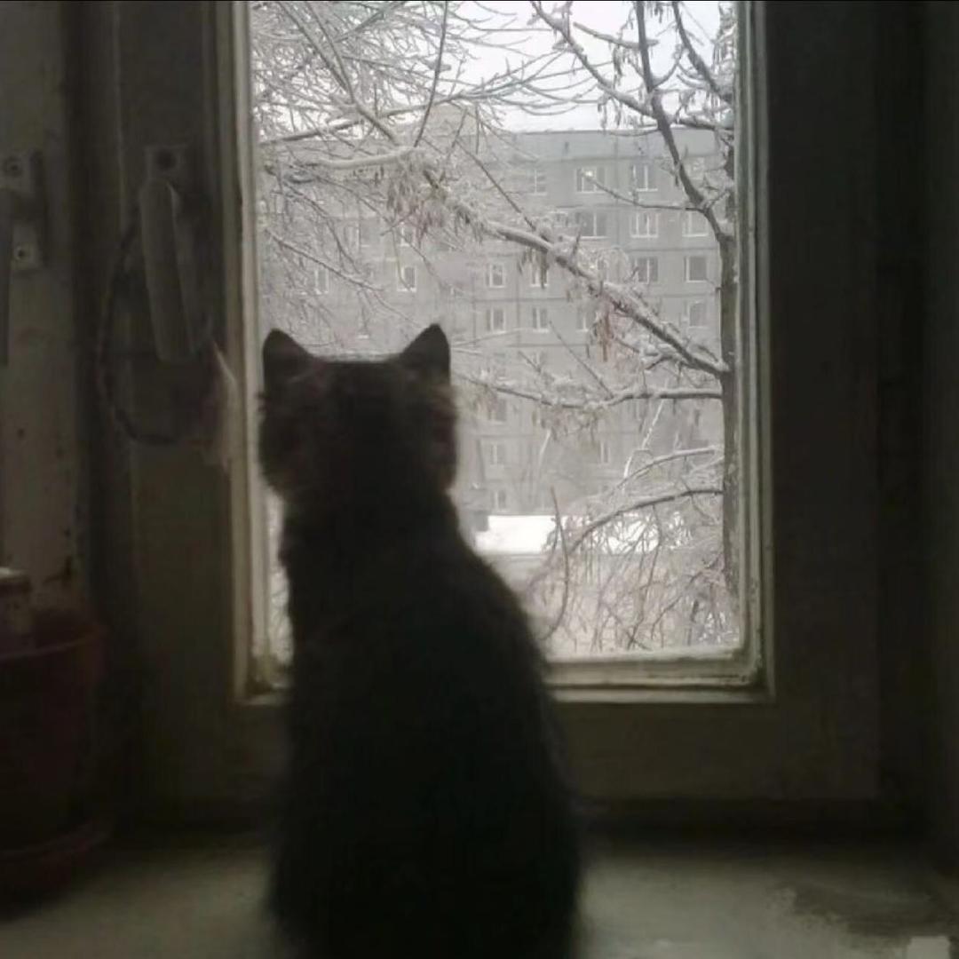 zyt.