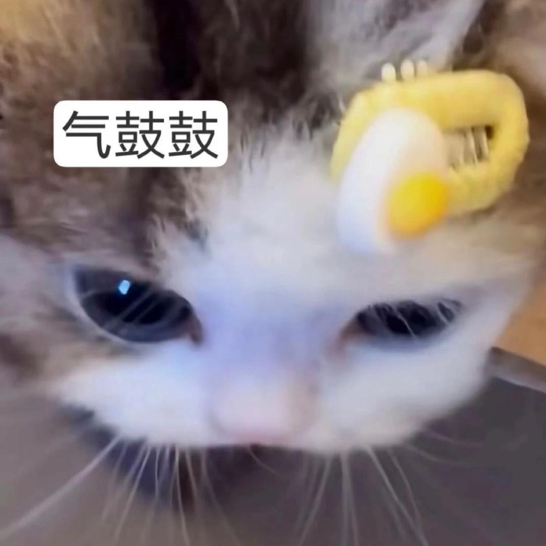 ᴛㅅᴛ