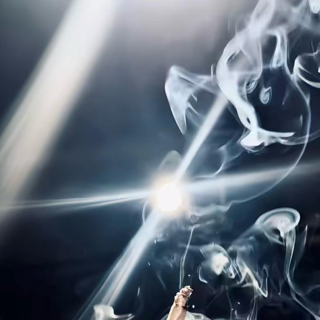 讨厌香菜😵‍💫