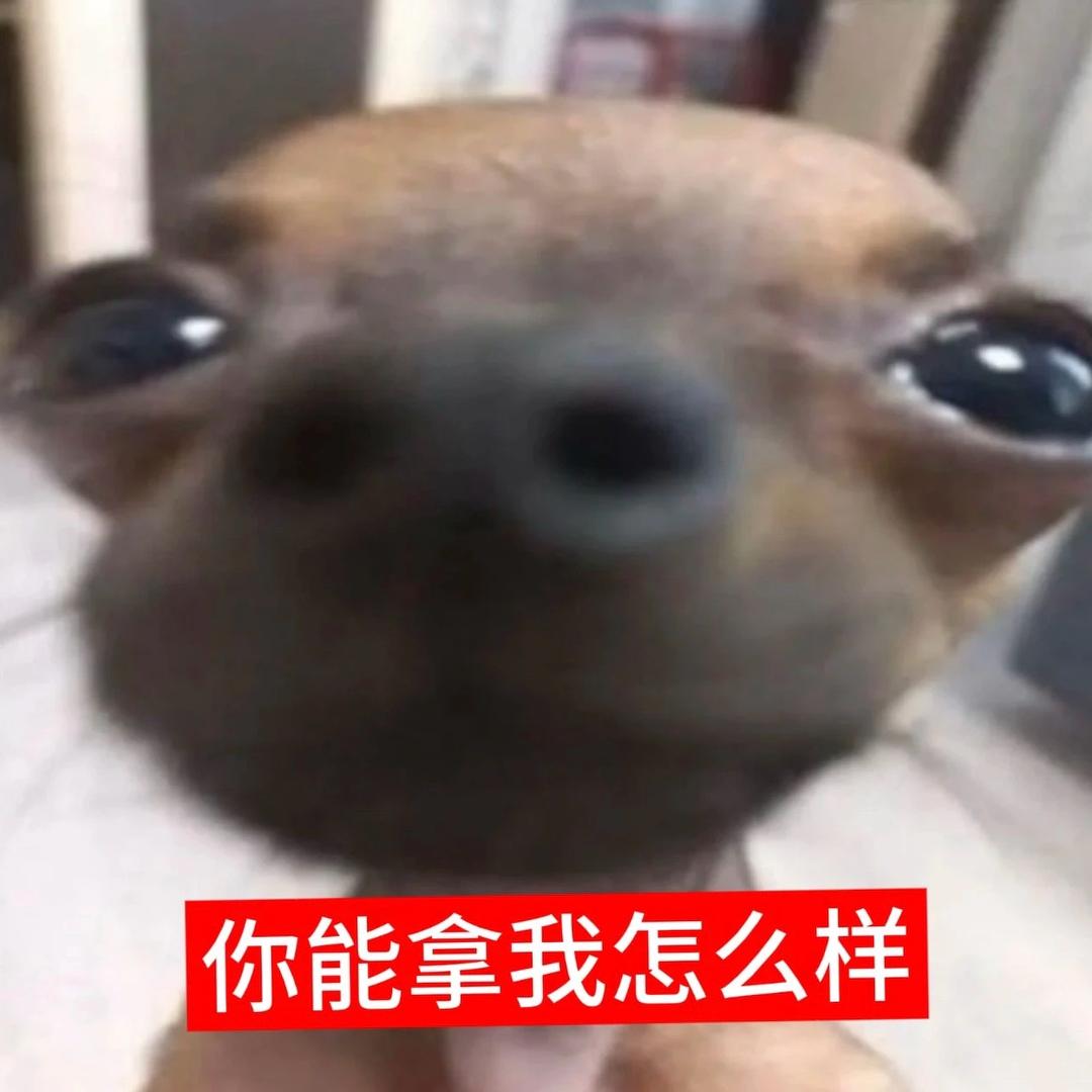 NN