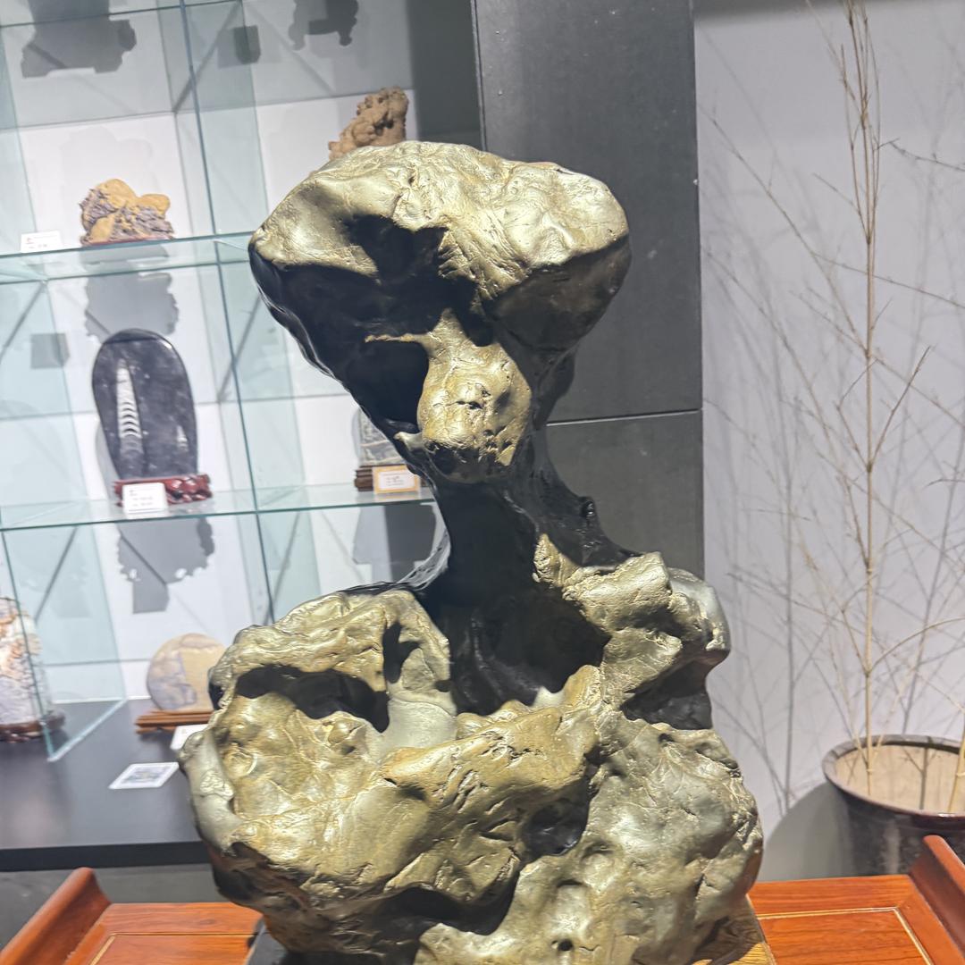 陕西长扬人力资源有限公司