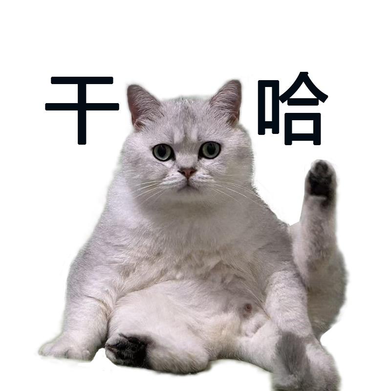 芝盐不咸