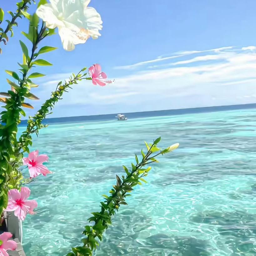 上饶幼专小助手（有问必答版）