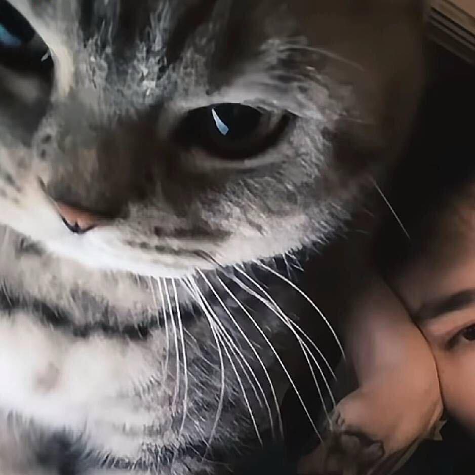 摆烂摸鱼之人🏸