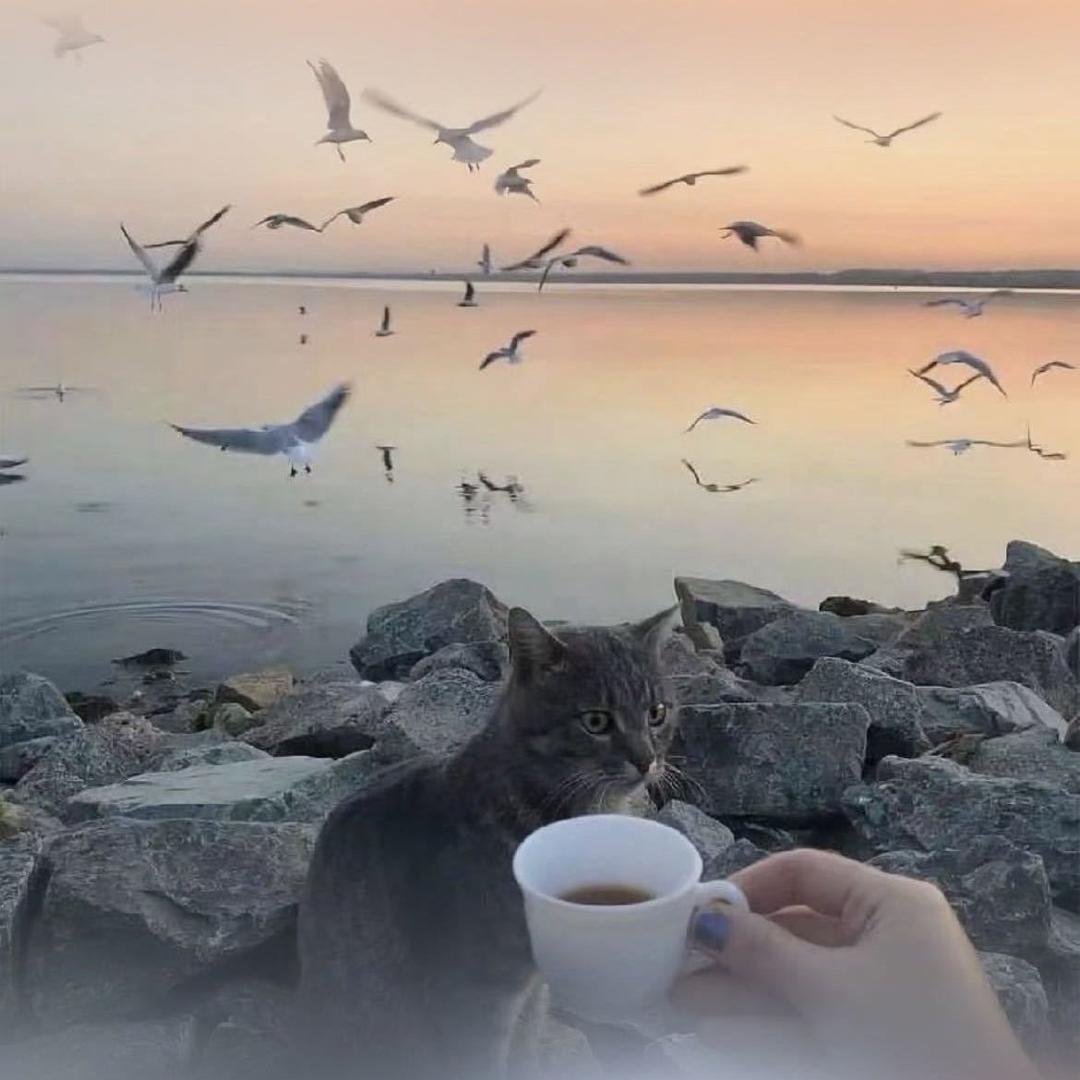 露露安～