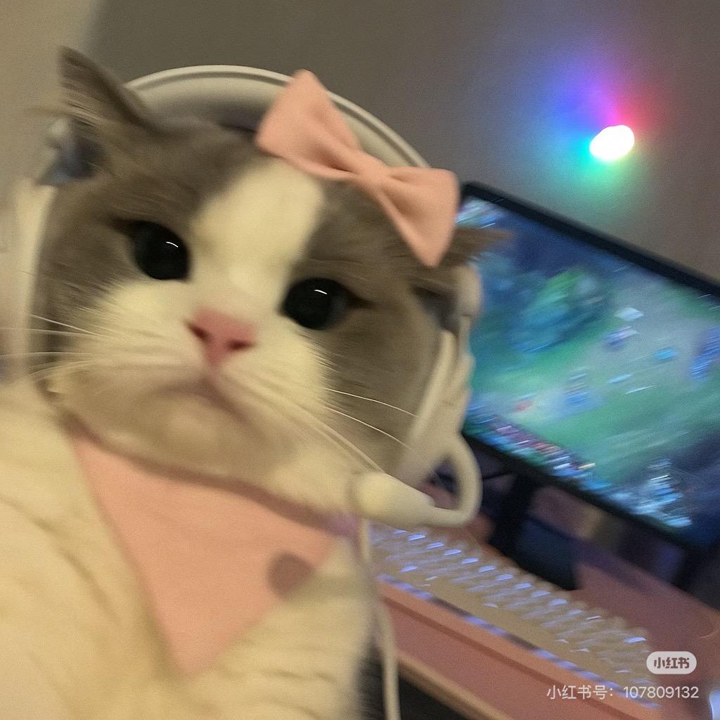 斗魂瑞咔🎀