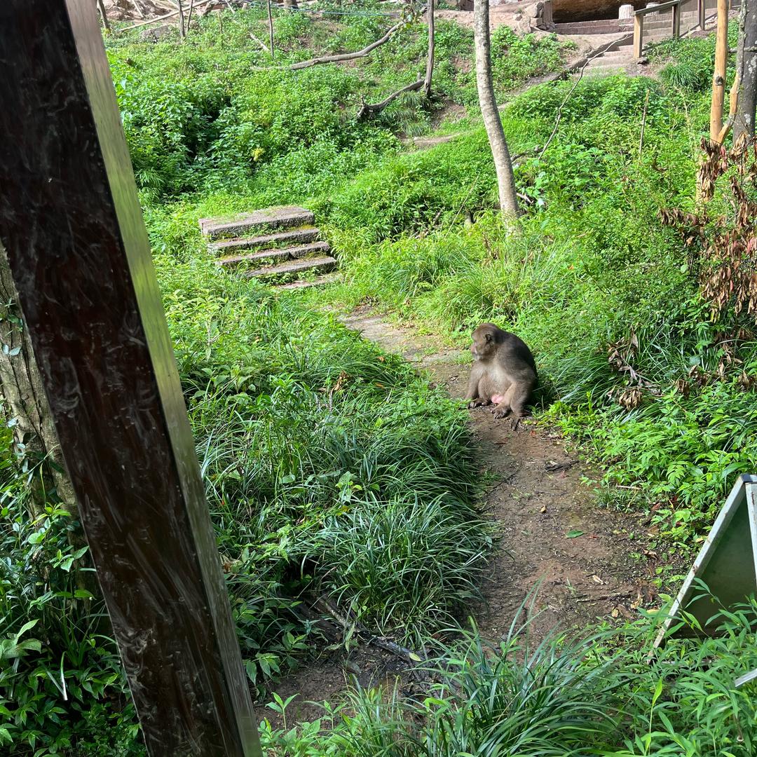 余干县伊帘坊智能软装馆 窗帘布艺