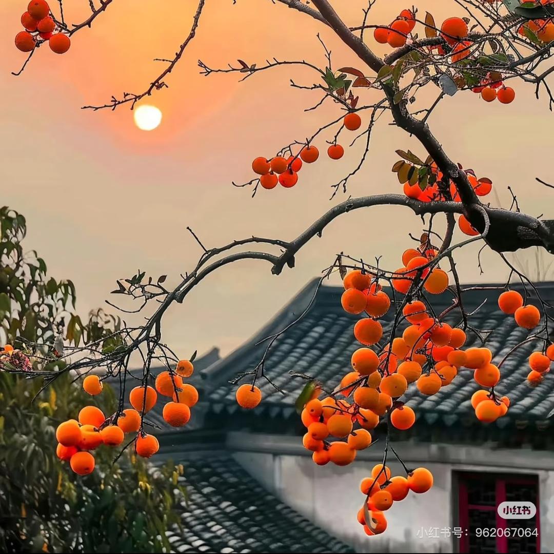 太阳妹袜子批发