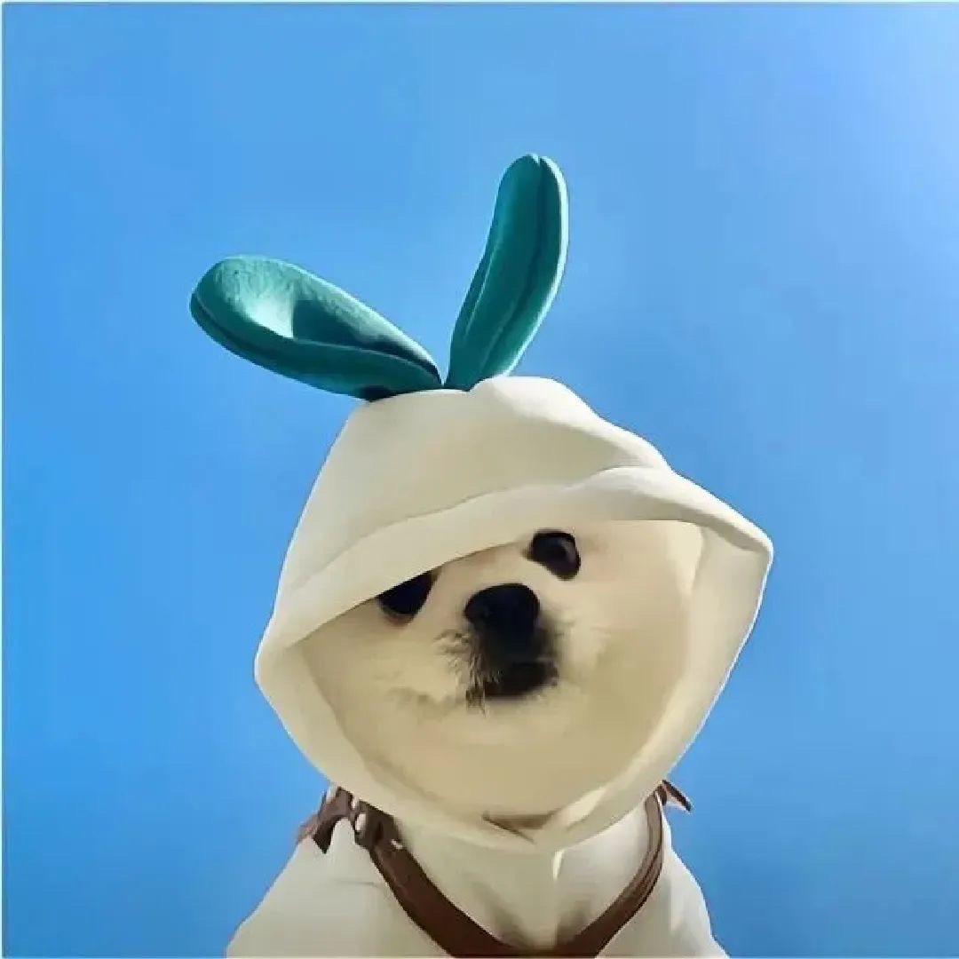 鹿燃