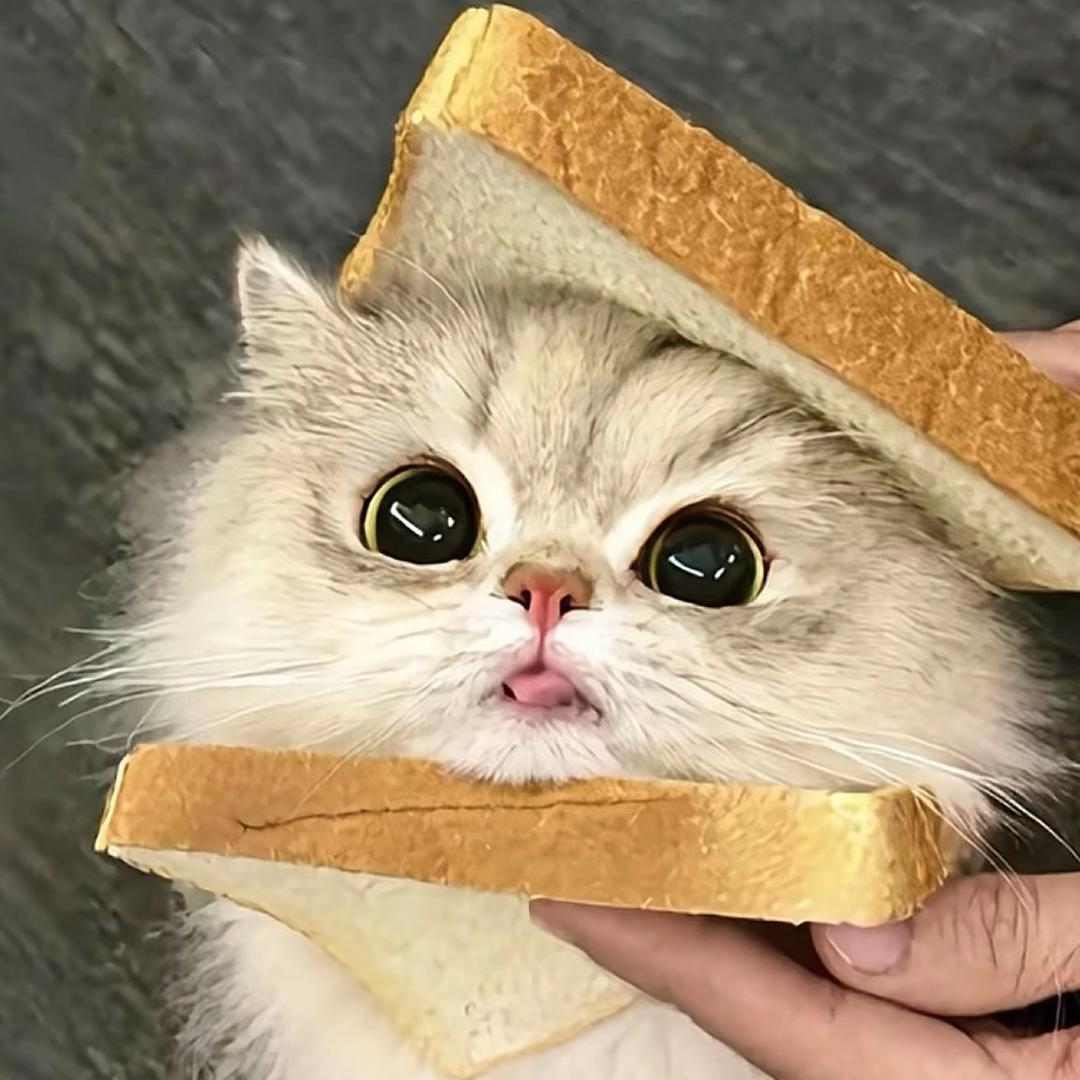 ٨ـﮩﮩ٨ـ♡ﮩ٨ـﮩﮩ٨ـ