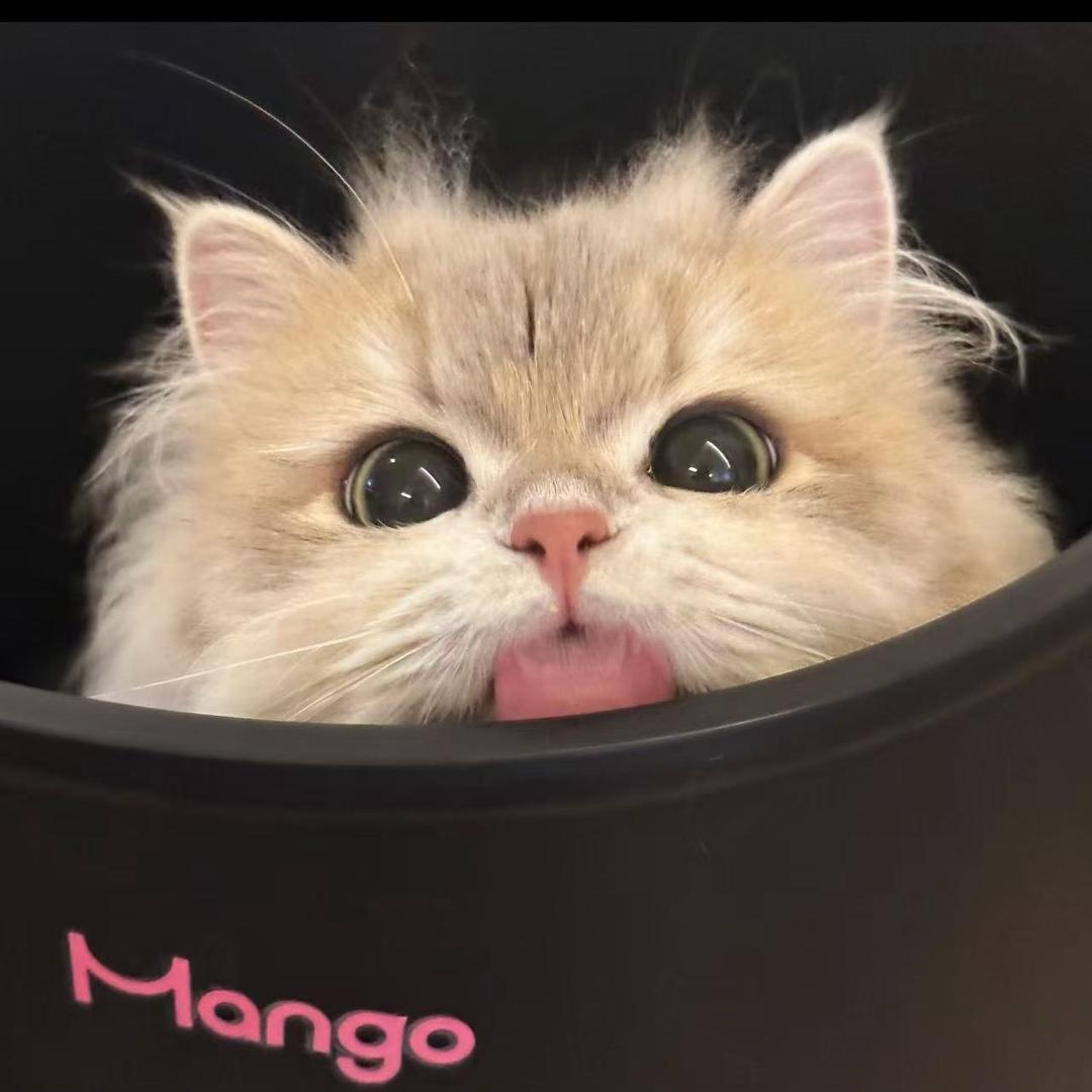 这头蛮牛