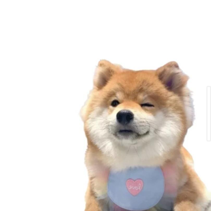 小骐