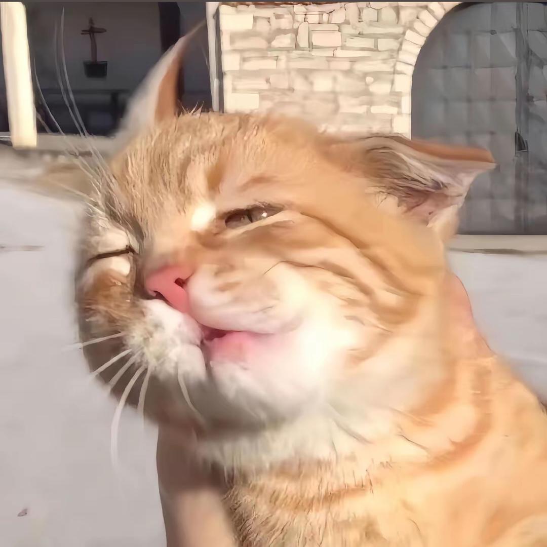 Z☡zᶻ
