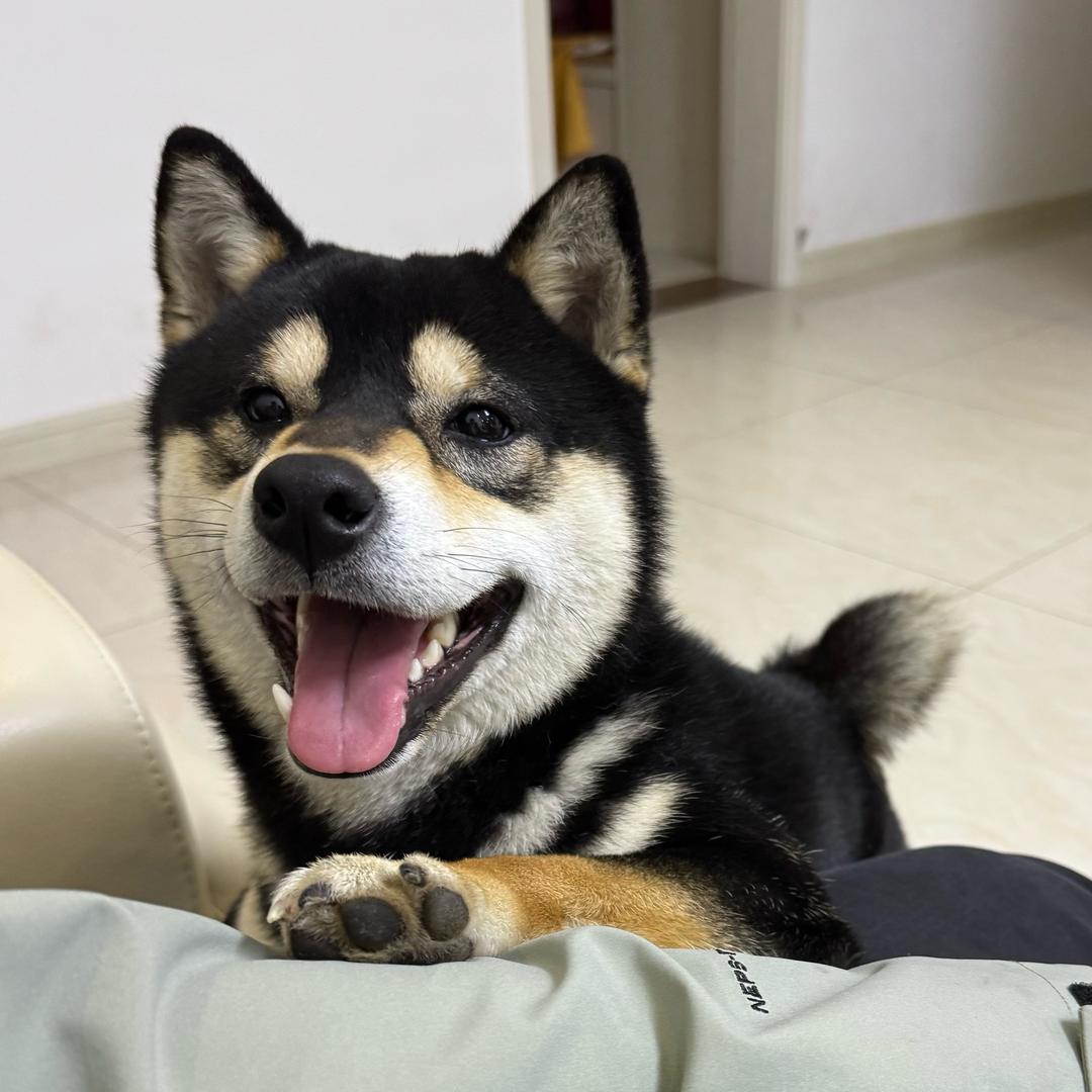 布鲁耶耶