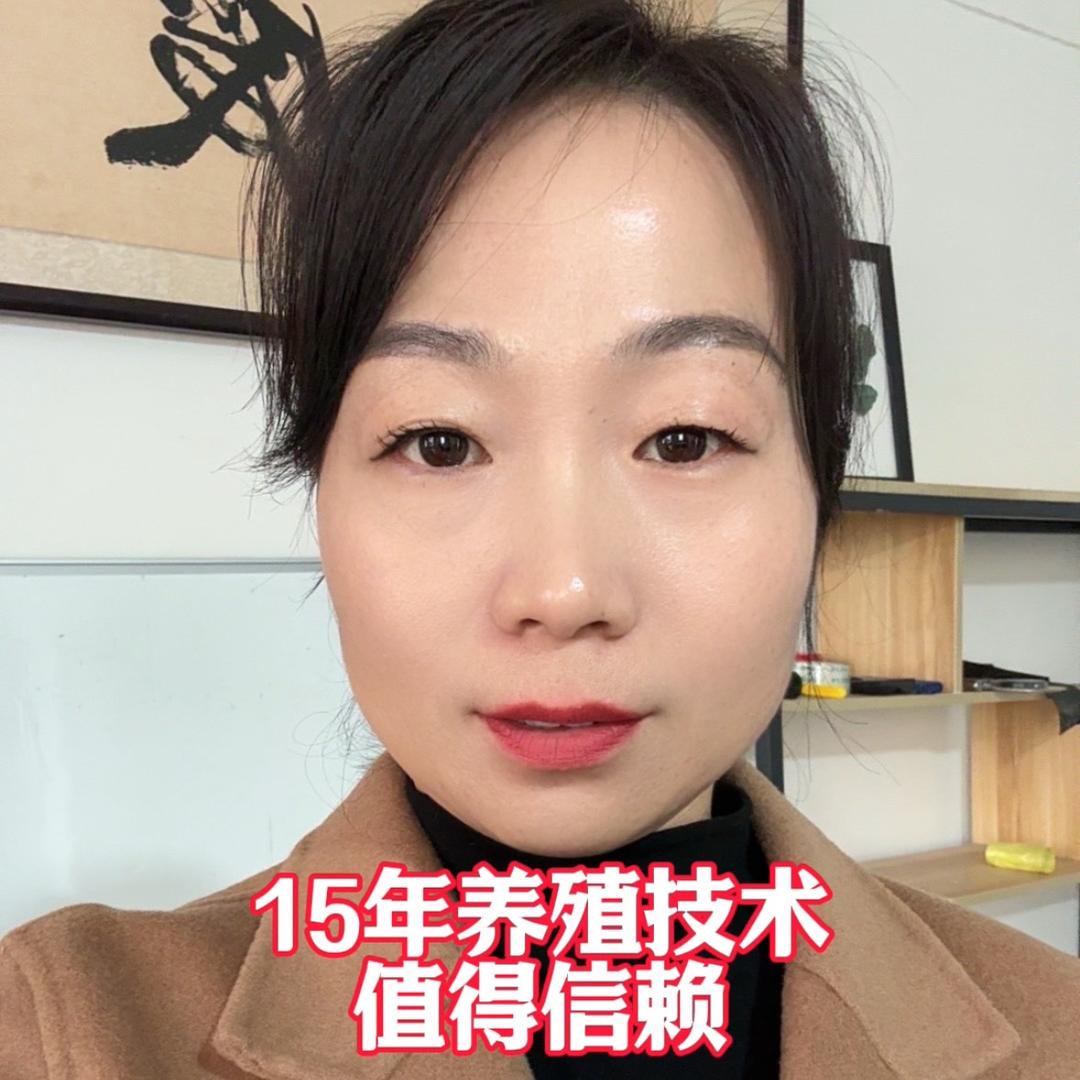 养鸡技术指导-刘芳