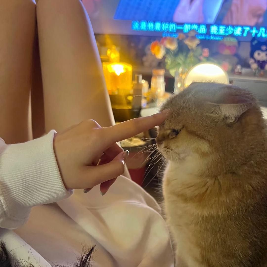 @南方小土豆🥔