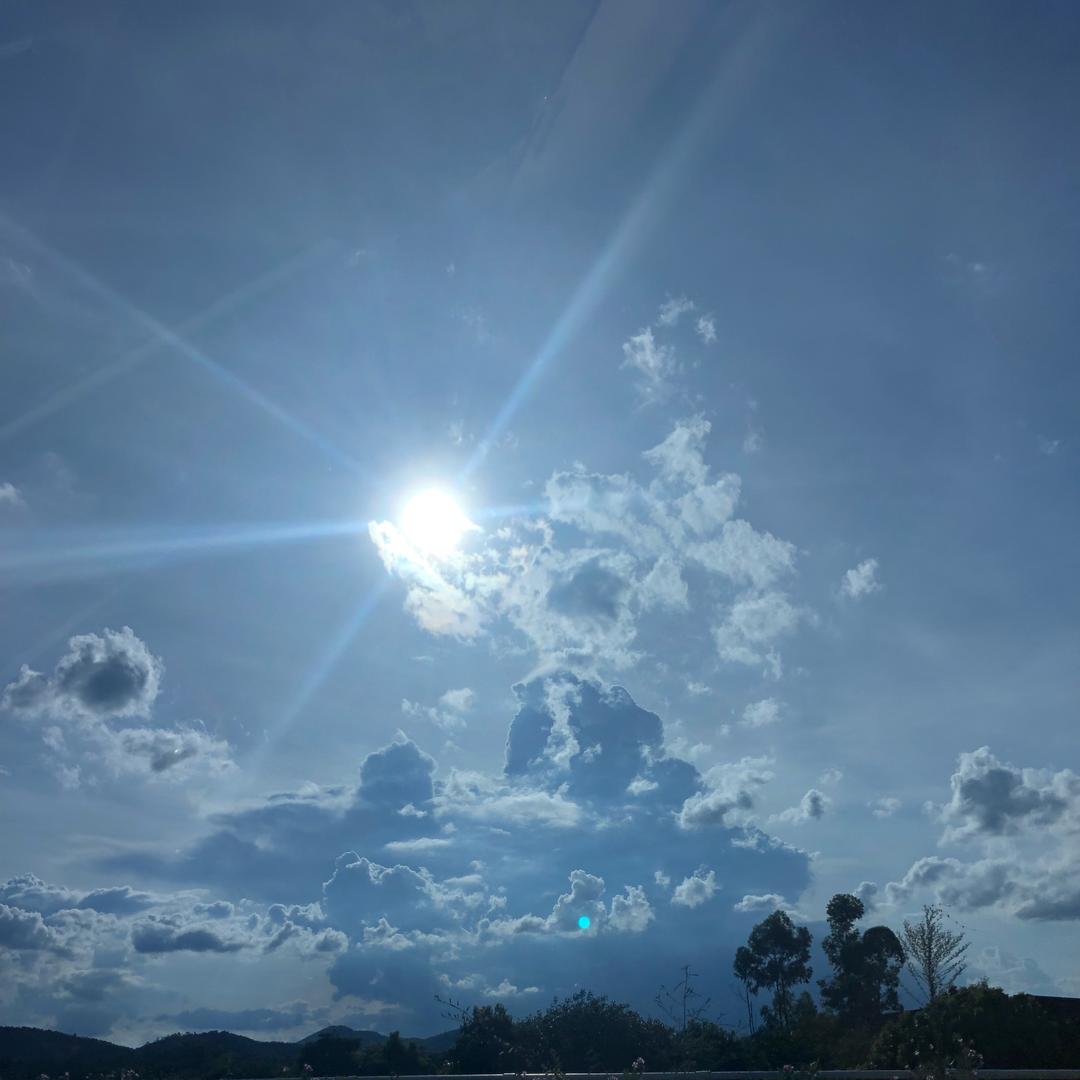 🌈海莫斯特🌈