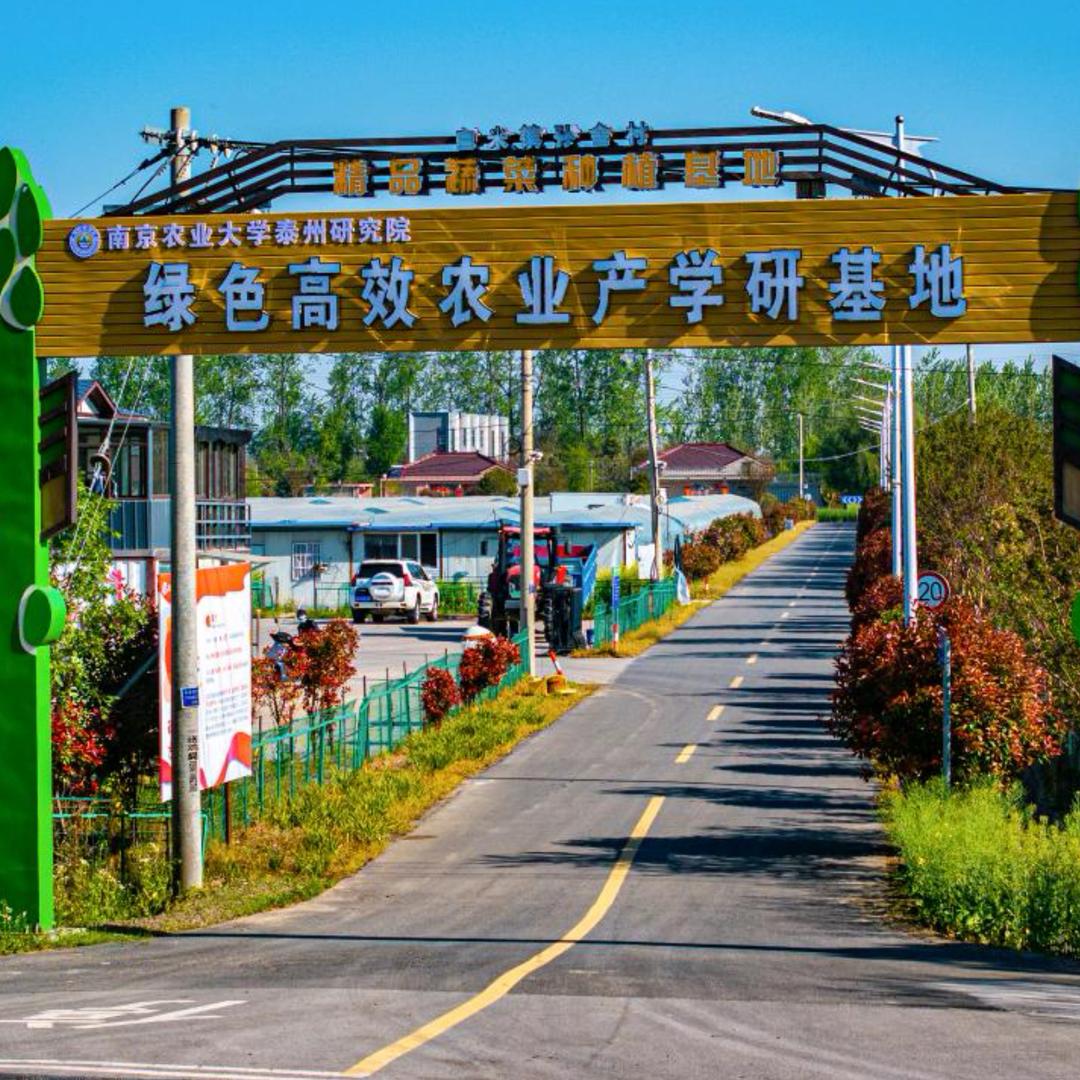 孙舍村富民合作社