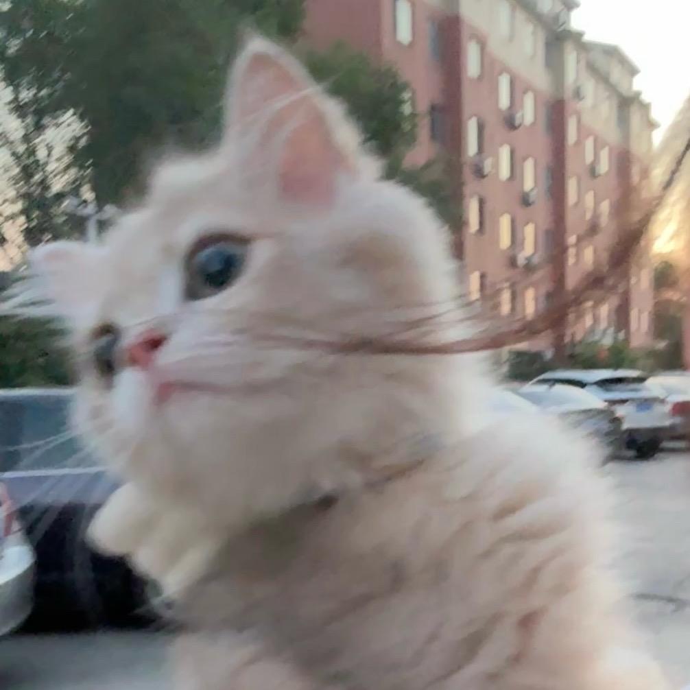 软语