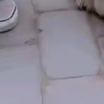 助理红红