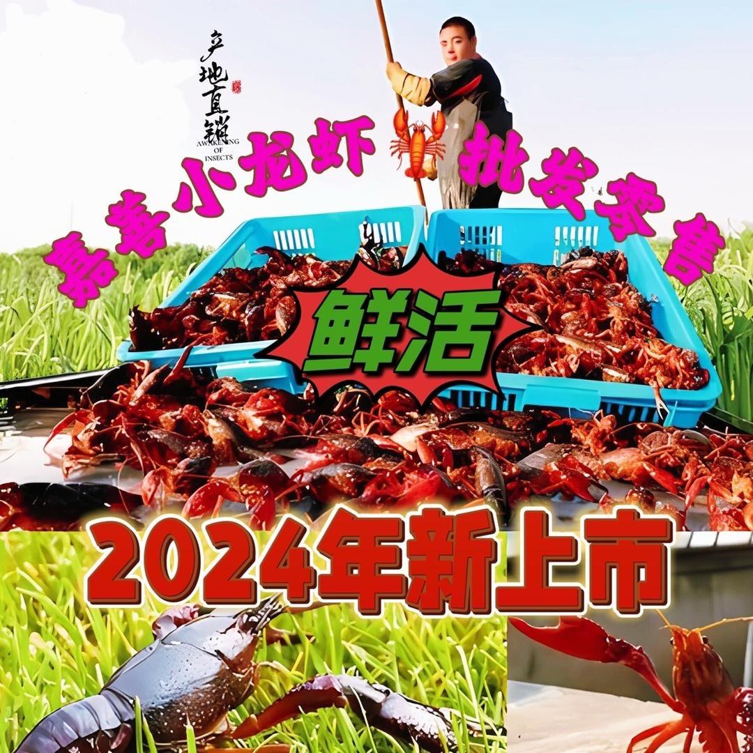 嘉善龙虾大王鲜烤旺店