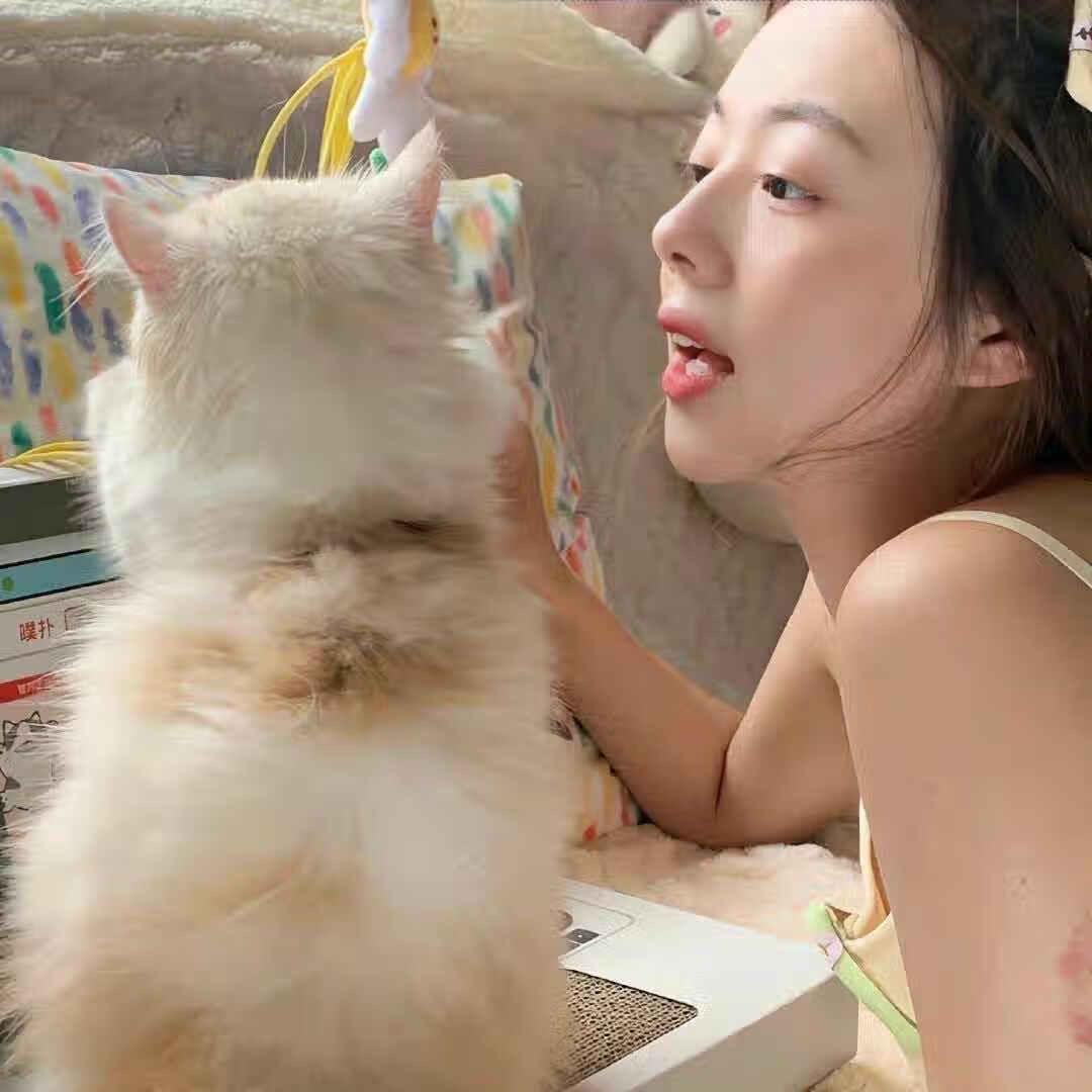 傅诗淇.