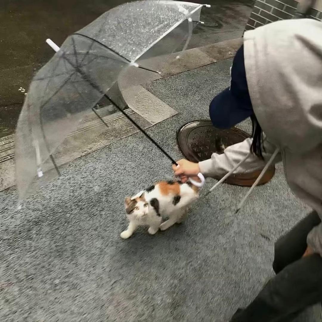 孫